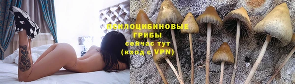каннабис Армянск