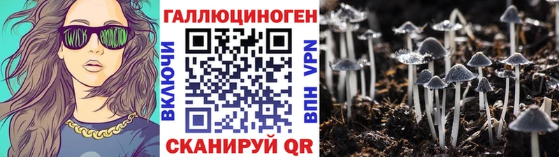 где можно купить наркотик  hydra как зайти  Галлюциногенные грибы MAGIC MUSHROOMS  Советский 
